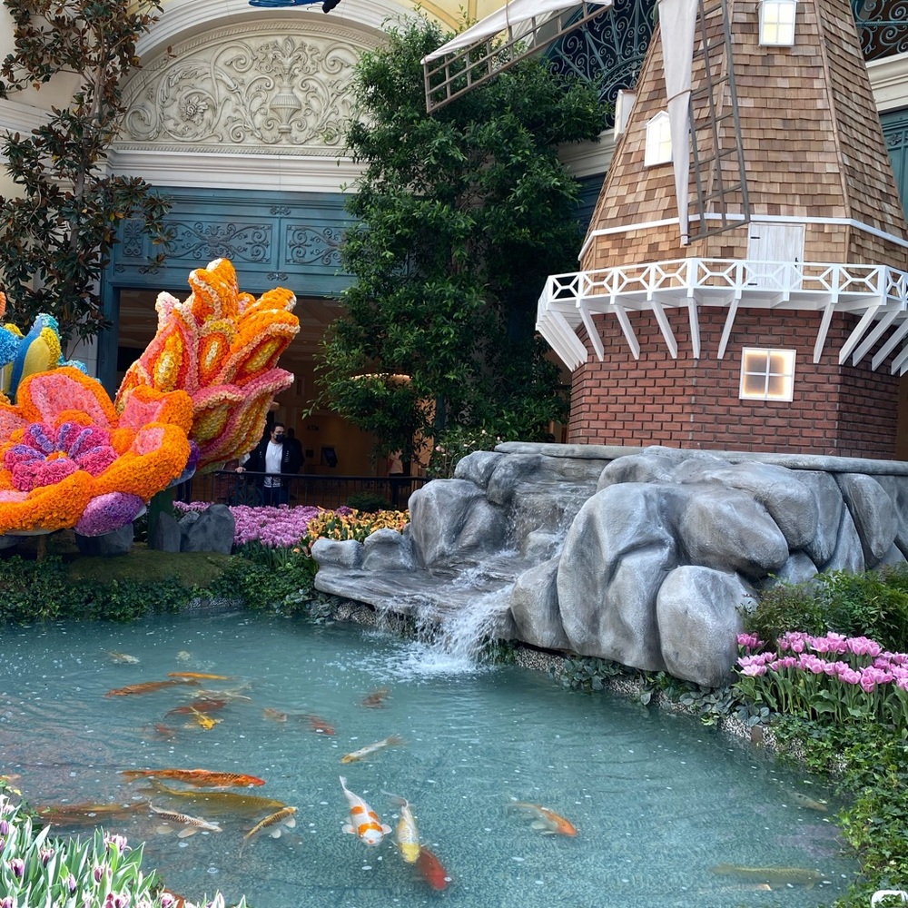 Meet your Posher, Asia